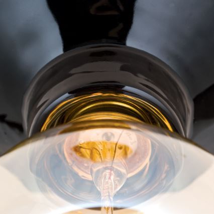 Таванно осветително тяло FROST 1xE27/60W/230V черно