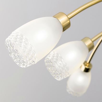 Полилей на тръба CARLA 8xG9/28W/230V златен