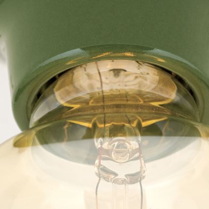 Таванно осветително тяло FROST 1xE27/60W/230V зелено