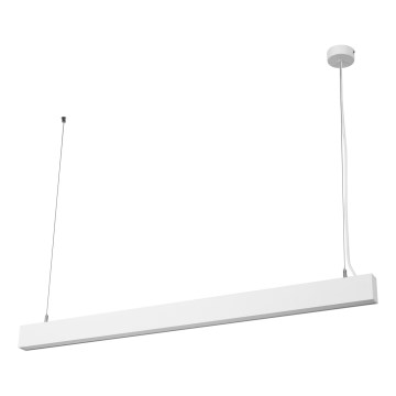 Osram - LED димируема висяща лампа на кабел OFFICE LINE LED/42W/230V 4000K 112,6 cm бяла