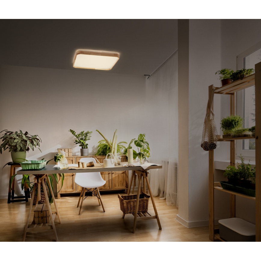 Osram - LED Димируемо таванно осветително тяло ORBIS ALICIA LED/36W/230V 49,5x49,5 cm