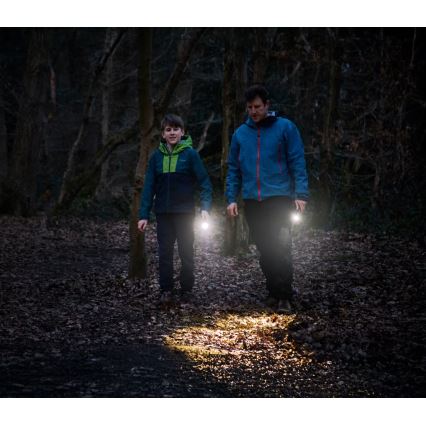 Osram - LED инспекционен фенер с регулируема яркост LEDINSPECT TORCH 350 ESSENTIAL LED/4W/2xAAA IP44