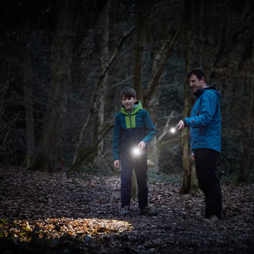 Osram - LED фенер със възможност за димиране LEDINSPECT TORCH 450 ESSENTIAL LED/6W/3xAAA IP44