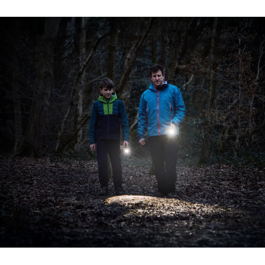 Osram - LED фенер със възможност за димиране LEDINSPECT TORCH 450 ESSENTIAL LED/6W/3xAAA IP44