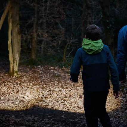 Osram - LED фенер със възможност за димиране LEDINSPECT TORCH 450 ESSENTIAL LED/6W/3xAAA IP44