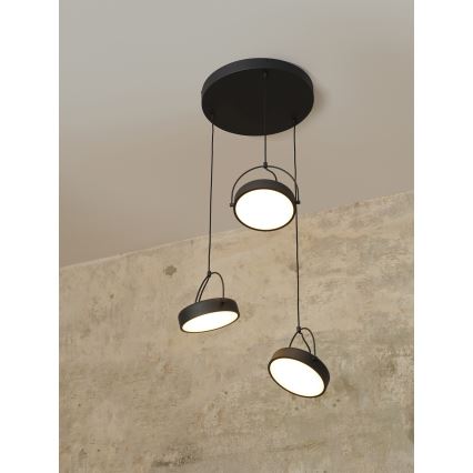 Osram - LED полилей на кабел DECOR PUCK 3xLED/12W/230V CRI 90 черен