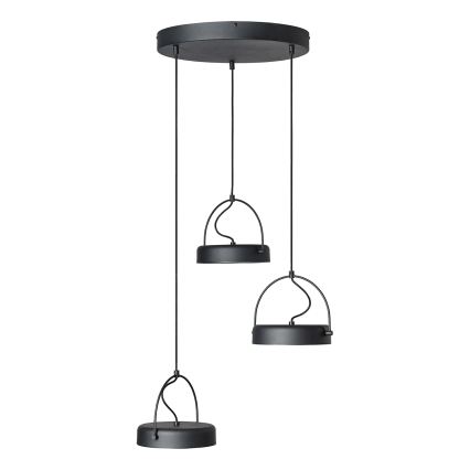 Osram - LED полилей на кабел DECOR PUCK 3xLED/12W/230V CRI 90 черен