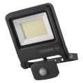 Osram - LED прожектор със сензор ENDURA LED/50W/230V 3000K IP44