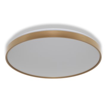 Osram - LED таванно осветително тяло CEILING LUXO LED/60W/230V Ø 56 см, златисто