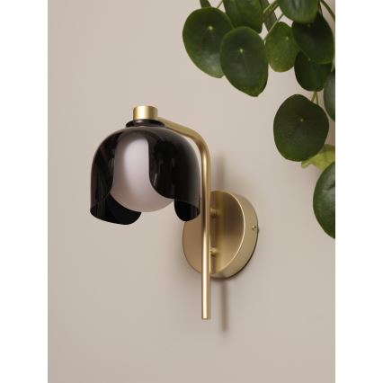 Osram - Настенна лампа DECOR COROLLE 1xG9/20W/230V черна/златна