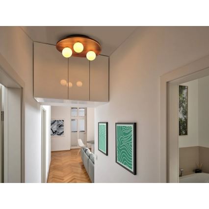 Osram - Таванно осветително тяло ACACIA NEST 3xG9/5W/230V от акация