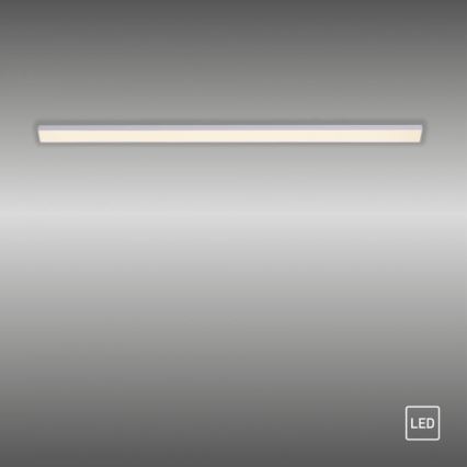 Paul Neuhaus 1125-21-A - LED Разширение under кухня cabinet лампа AMON LED/6W/12/230V