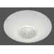 Paul Neuhaus 14319-16 - LED Димируема Лампа за таван ANNA 1xLED/8W/230V
