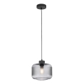 Paul Neuhaus 2005-25 - Пендел BOLETUS 1xE27/10W/230V Ø 23,5 см сив