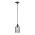 Paul Neuhaus 2006-25 - Пендел BOLETUS 1xE27/10W/230V Ø 14 см сив