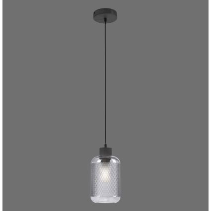Paul Neuhaus 2006-25 - Пендел BOLETUS 1xE27/10W/230V Ø 14 см сив
