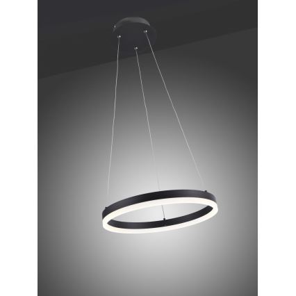 Paul Neuhaus 2381-13 - LED Димируем висящ полилей TITUS LED/28W/230V
