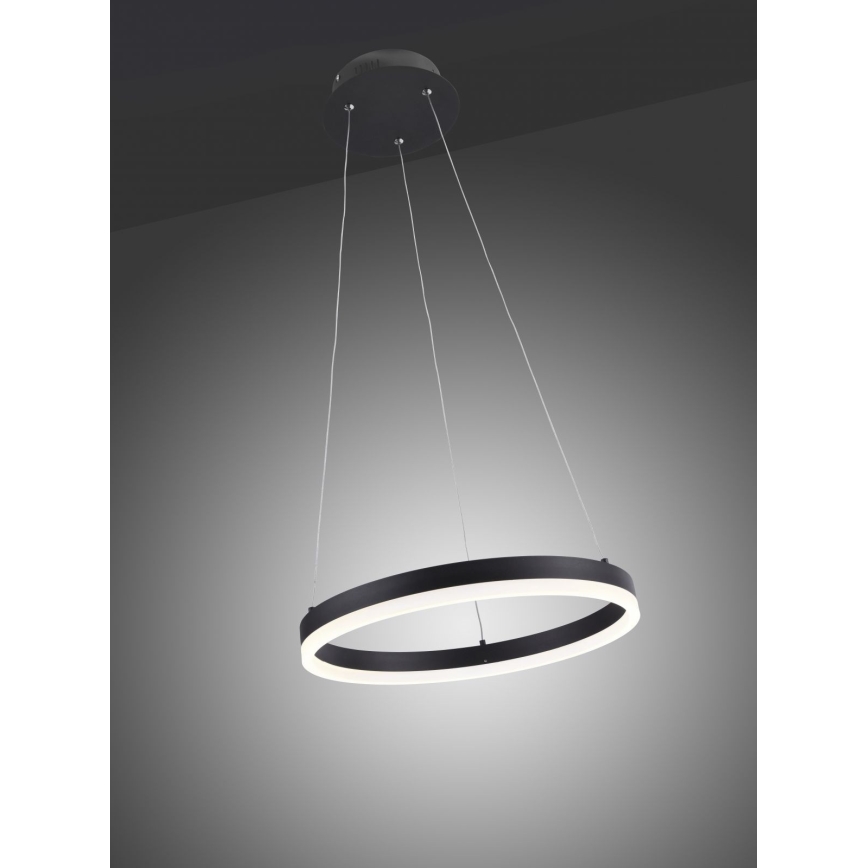 Paul Neuhaus 2381-13 - LED Димируем висящ полилей TITUS LED/28W/230V