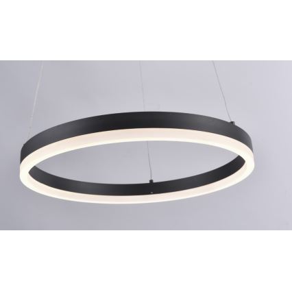 Paul Neuhaus 2381-13 - LED Димируем висящ полилей TITUS LED/28W/230V