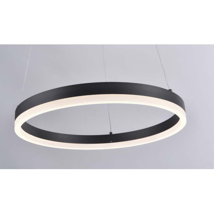 Paul Neuhaus 2381-13 - LED Димируем висящ полилей TITUS LED/28W/230V