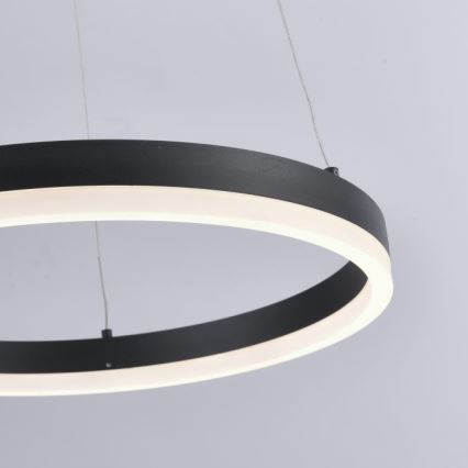 Paul Neuhaus 2381-13 - LED Димируем висящ полилей TITUS LED/28W/230V