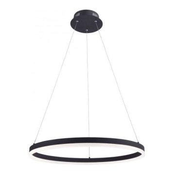 Paul Neuhaus 2382-13 - LED Димируем висящ полилей TITUS LED/38,5W/230V