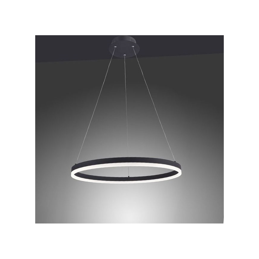 Paul Neuhaus 2382-13 - LED Димируем висящ полилей TITUS LED/38,5W/230V