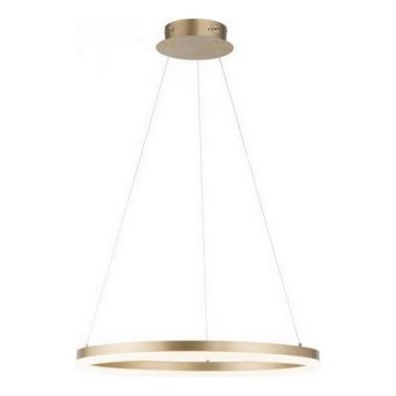 Paul Neuhaus 2382-60 - LED Димируем пендел TITUS LED/38,5W/230V