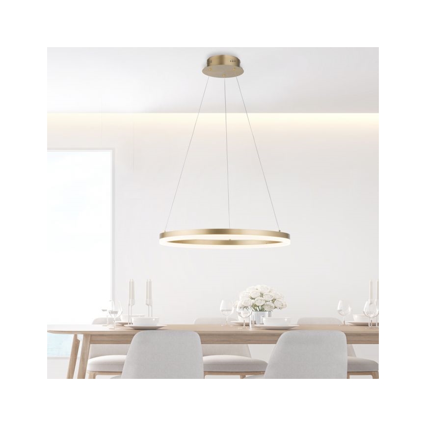 Paul Neuhaus 2382-60 - LED Димируем пендел TITUS LED/38,5W/230V