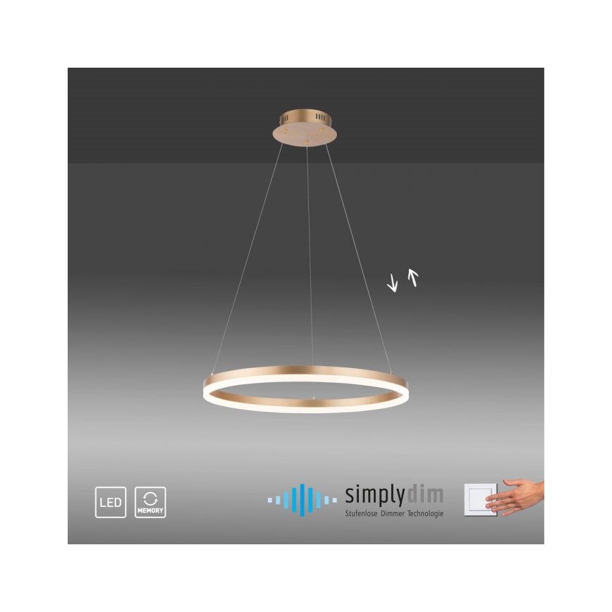 Paul Neuhaus 2382-60 - LED Димируем пендел TITUS LED/38,5W/230V