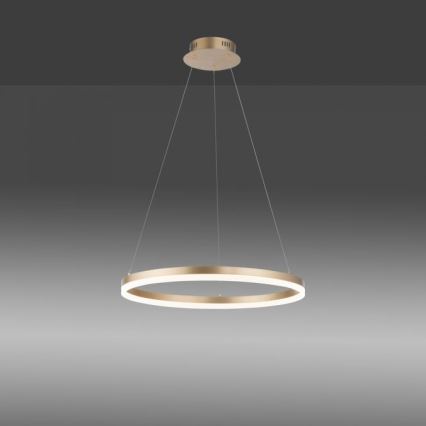 Paul Neuhaus 2382-60 - LED Димируем пендел TITUS LED/38,5W/230V