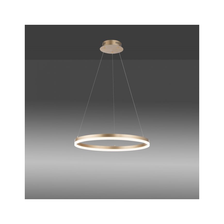 Paul Neuhaus 2382-60 - LED Димируем пендел TITUS LED/38,5W/230V