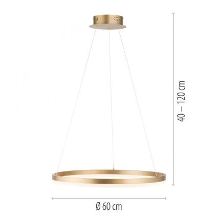 Paul Neuhaus 2382-60 - LED Димируем пендел TITUS LED/38,5W/230V