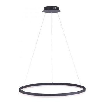 Paul Neuhaus 2383-13 - LED Димируем висящ полилей TITUS LED/50W/230V