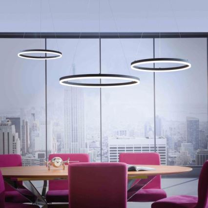 Paul Neuhaus 2383-13 - LED Димируем висящ полилей TITUS LED/50W/230V
