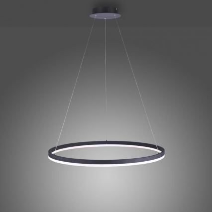 Paul Neuhaus 2383-13 - LED Димируем висящ полилей TITUS LED/50W/230V