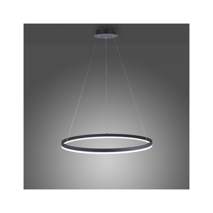 Paul Neuhaus 2383-13 - LED Димируем висящ полилей TITUS LED/50W/230V