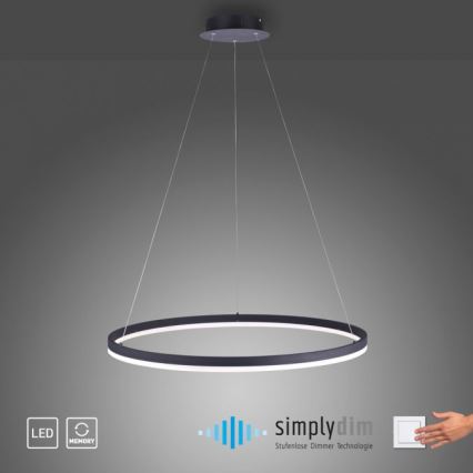 Paul Neuhaus 2383-13 - LED Димируем висящ полилей TITUS LED/50W/230V