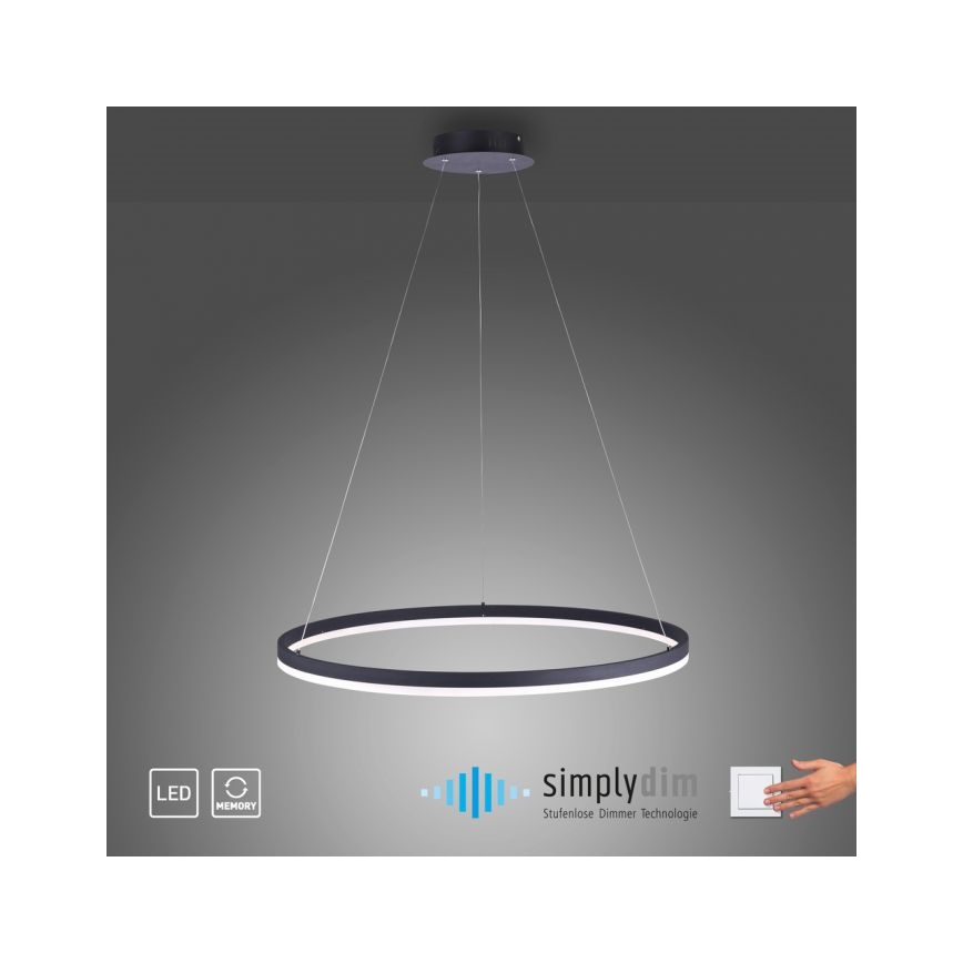 Paul Neuhaus 2383-13 - LED Димируем висящ полилей TITUS LED/50W/230V