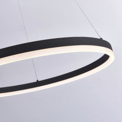 Paul Neuhaus 2383-13 - LED Димируем висящ полилей TITUS LED/50W/230V
