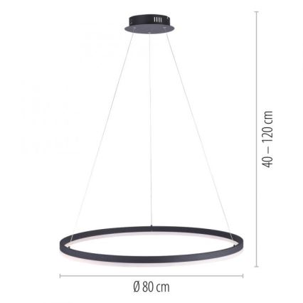 Paul Neuhaus 2383-13 - LED Димируем висящ полилей TITUS LED/50W/230V
