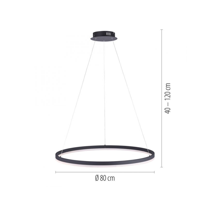 Paul Neuhaus 2383-13 - LED Димируем висящ полилей TITUS LED/50W/230V