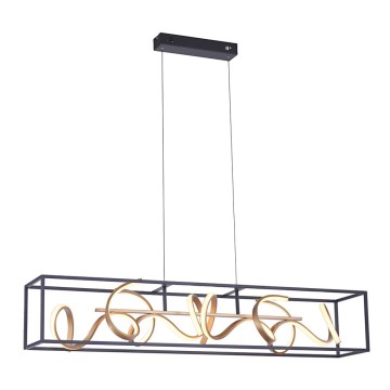 Paul Neuhaus 2416-18 - LED полируем кабел SELINA 4xLED / 10,2W / 230V