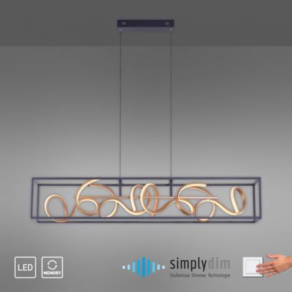 Paul Neuhaus 2416-18 - LED полируем кабел SELINA 4xLED / 10,2W / 230V