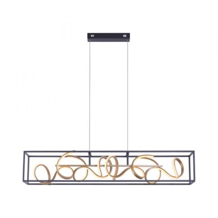 Paul Neuhaus 2416-18 - LED полируем кабел SELINA 4xLED / 10,2W / 230V