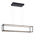Paul Neuhaus 2441-18 - LED Димируем висящ полилей CONTURA 4xLED/8W/230V