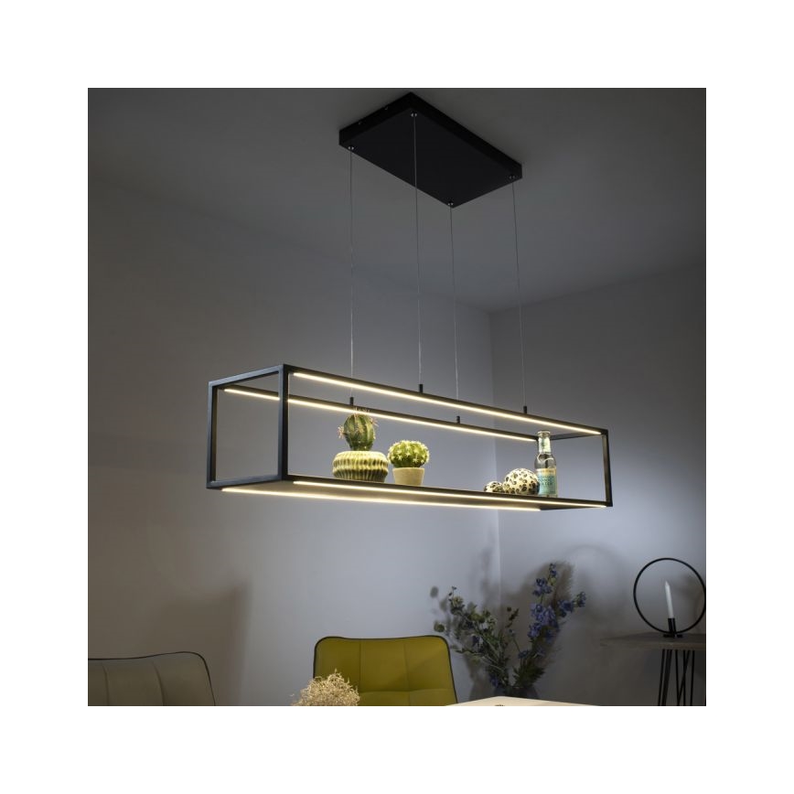 Paul Neuhaus 2441-18 - LED Димируем висящ полилей CONTURA 4xLED/8W/230V