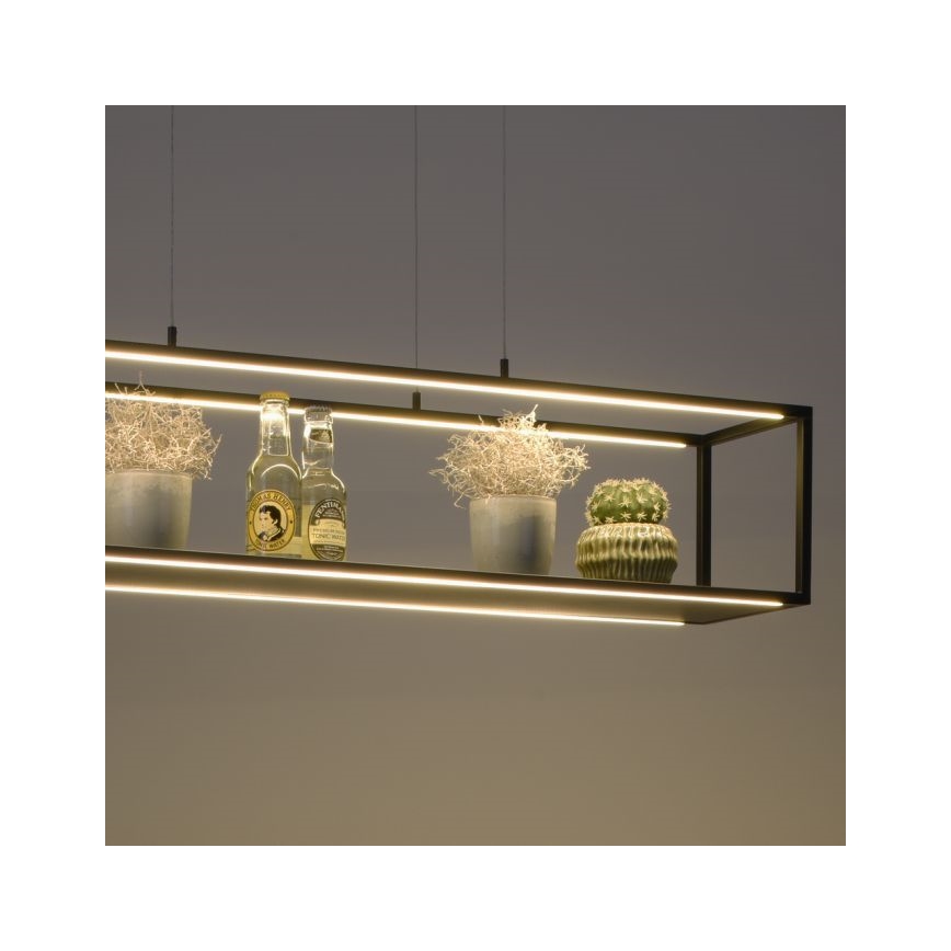 Paul Neuhaus 2441-18 - LED Димируем висящ полилей CONTURA 4xLED/8W/230V
