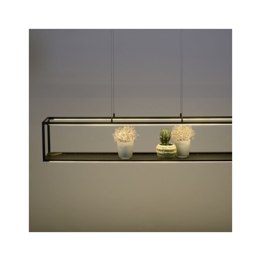 Paul Neuhaus 2441-18 - LED Димируем висящ полилей CONTURA 4xLED/8W/230V