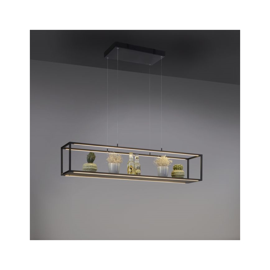 Paul Neuhaus 2441-18 - LED Димируем висящ полилей CONTURA 4xLED/8W/230V